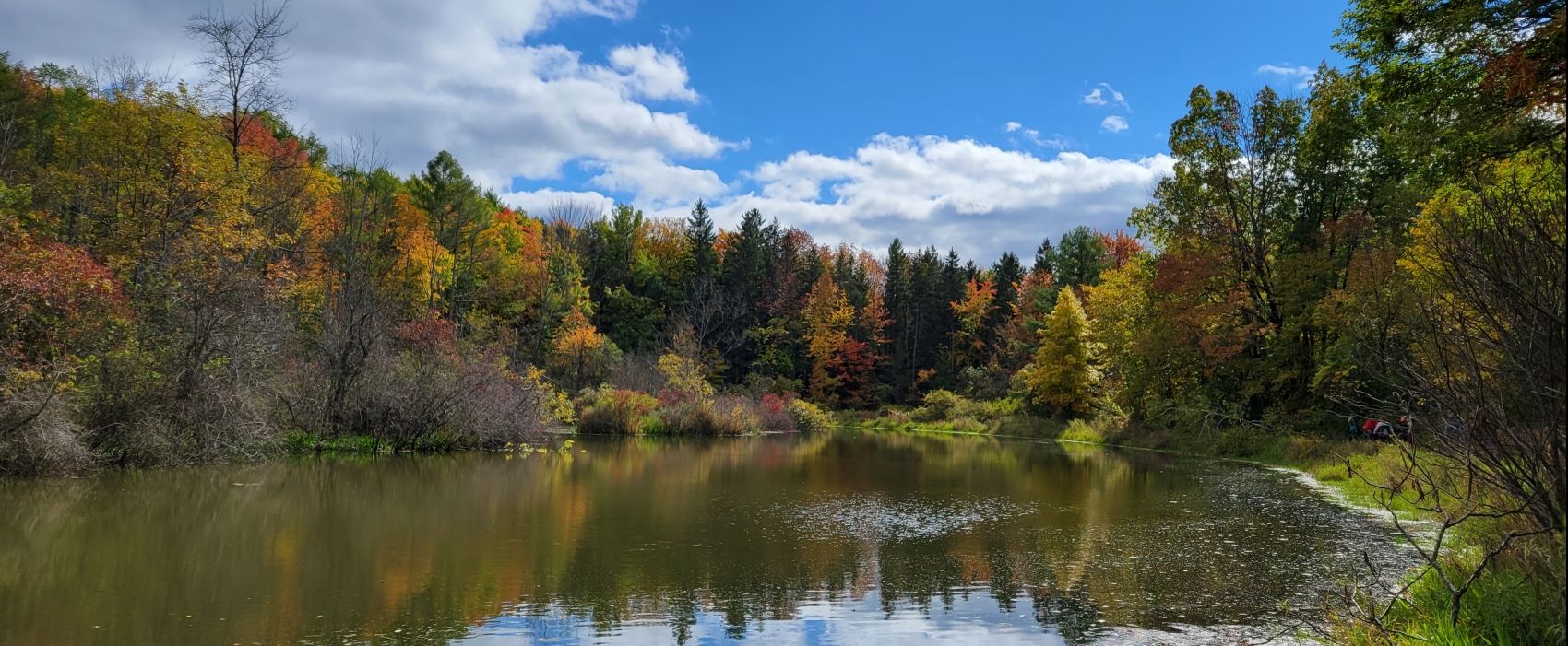 2026 Finger Lakes Trail (FLT50)