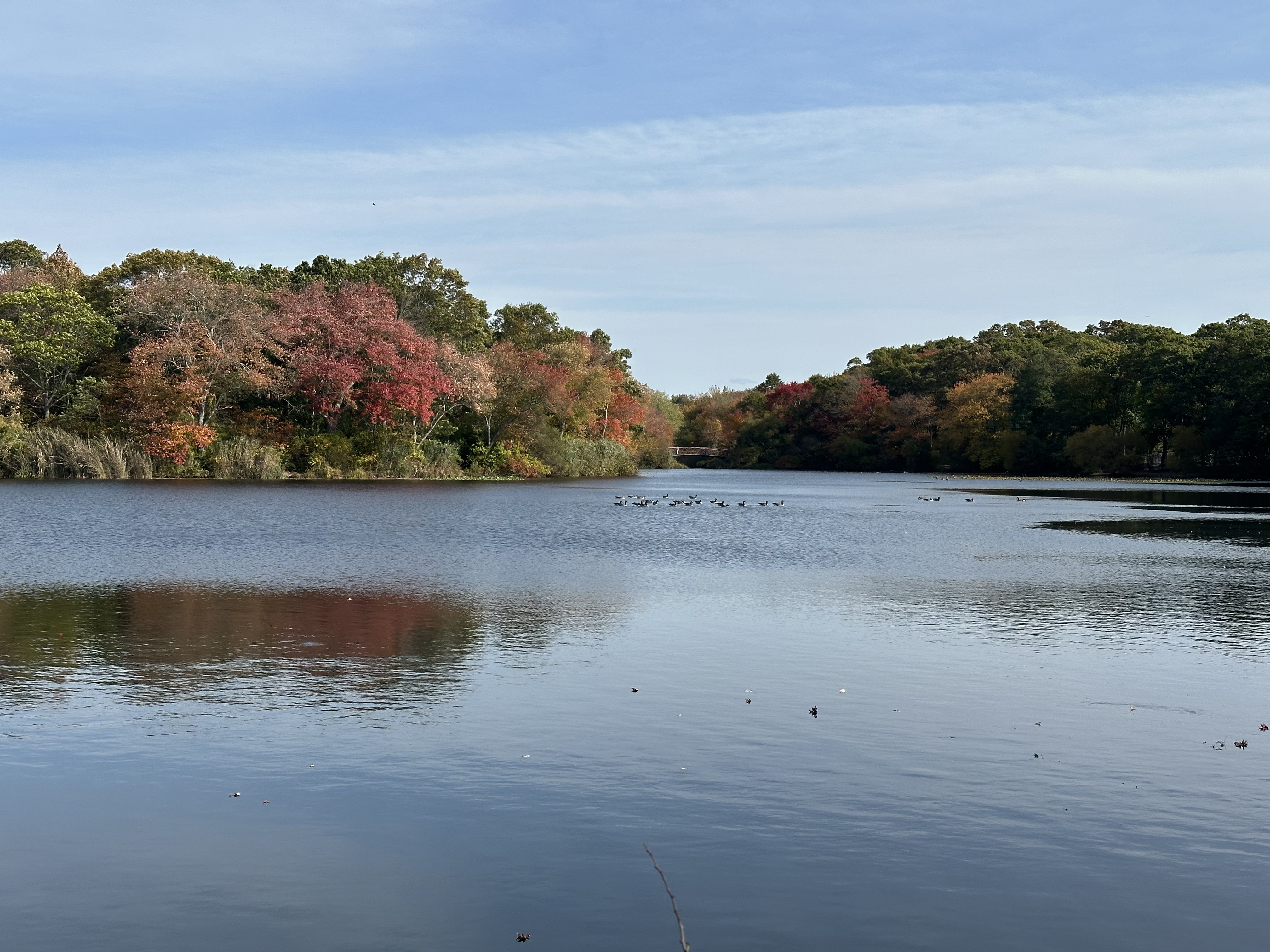 Nassau Suffolk Greenbelt Trail