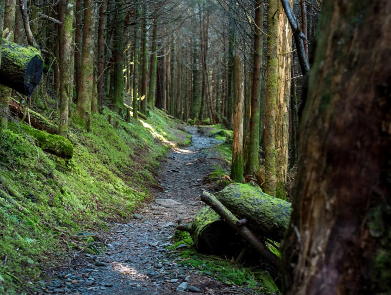 Appalachian Trail (AT)