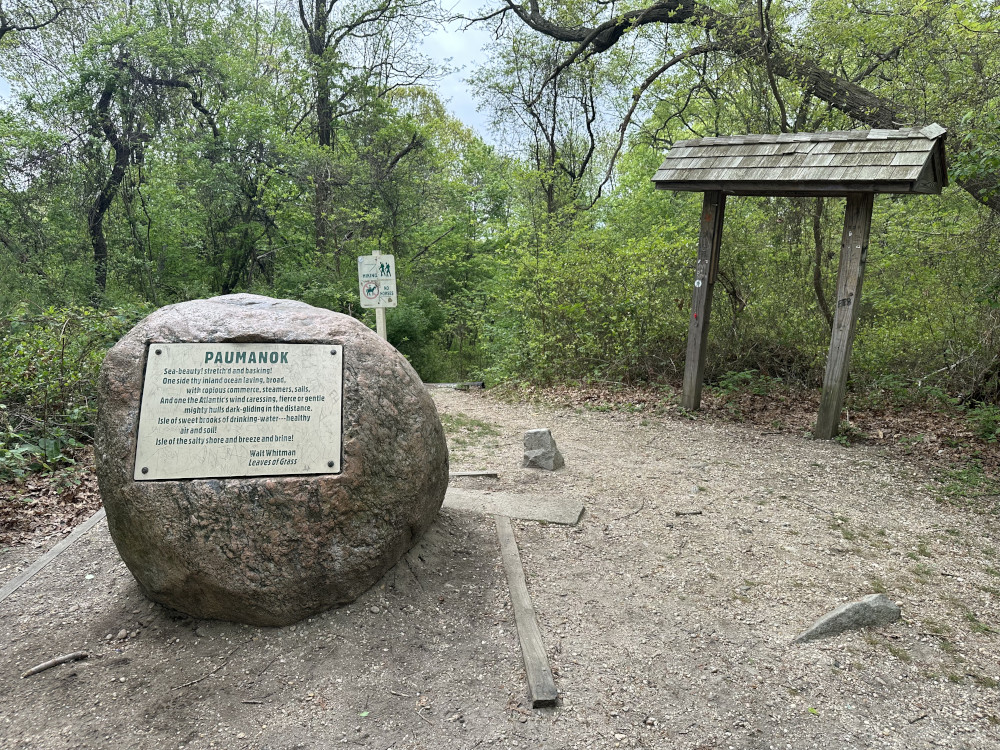 Long Island's Highest
