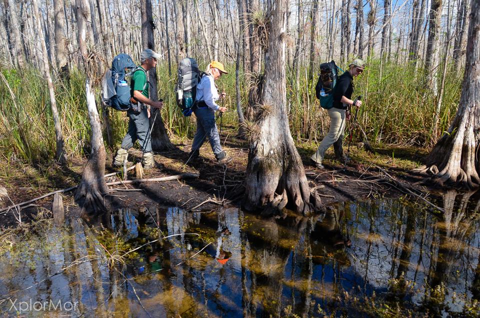 Florida Trail