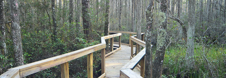 Florida's State Forest Trailwalker Program