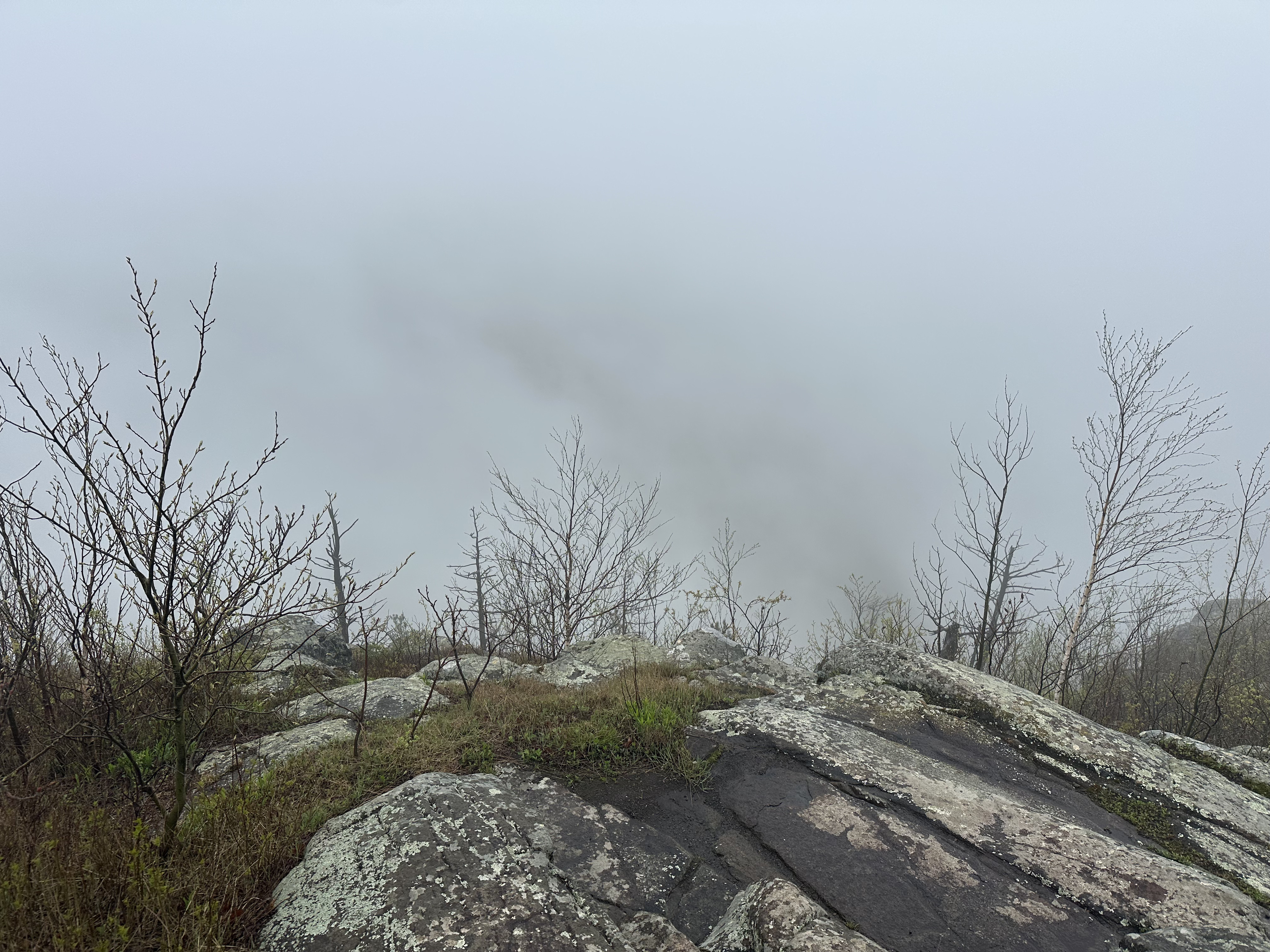 Adirondack 29er Junior Challenge (Winter)