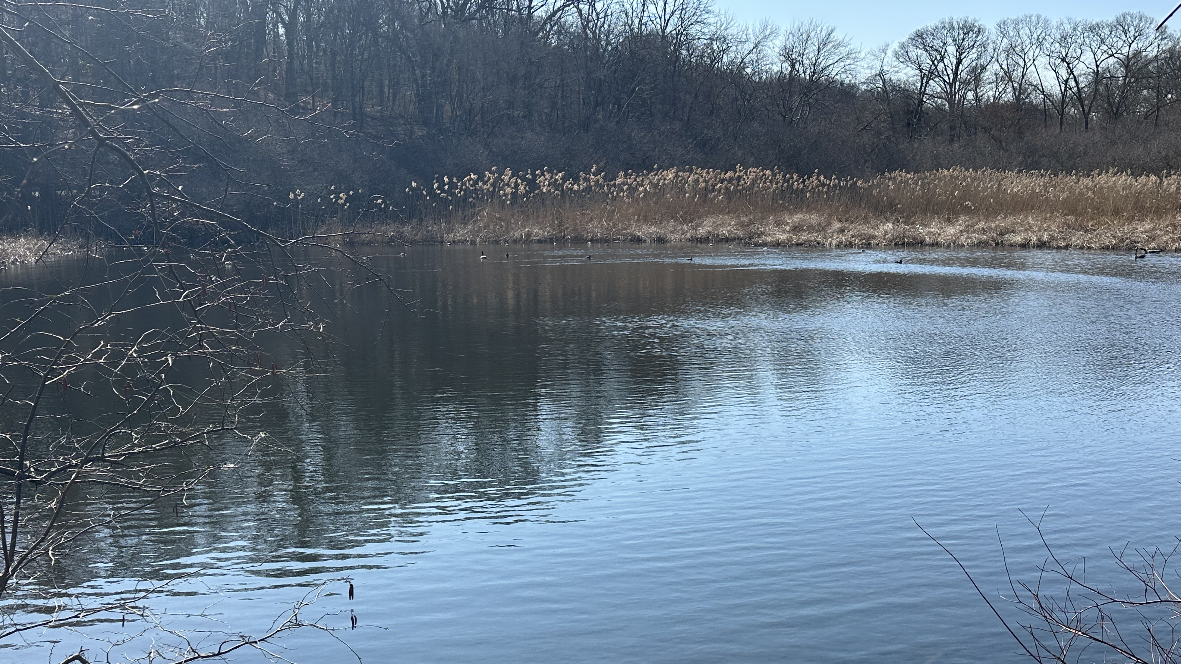 Huntington NY Trail Challenge