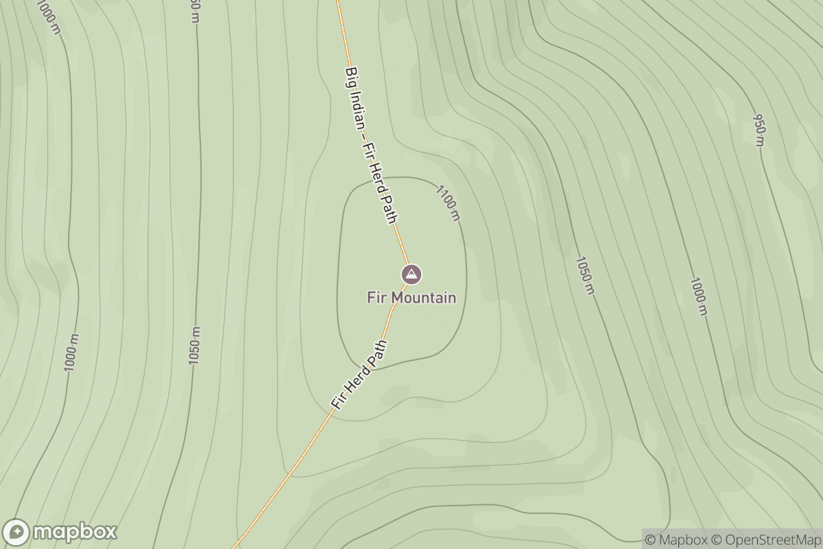 Fir Mountain