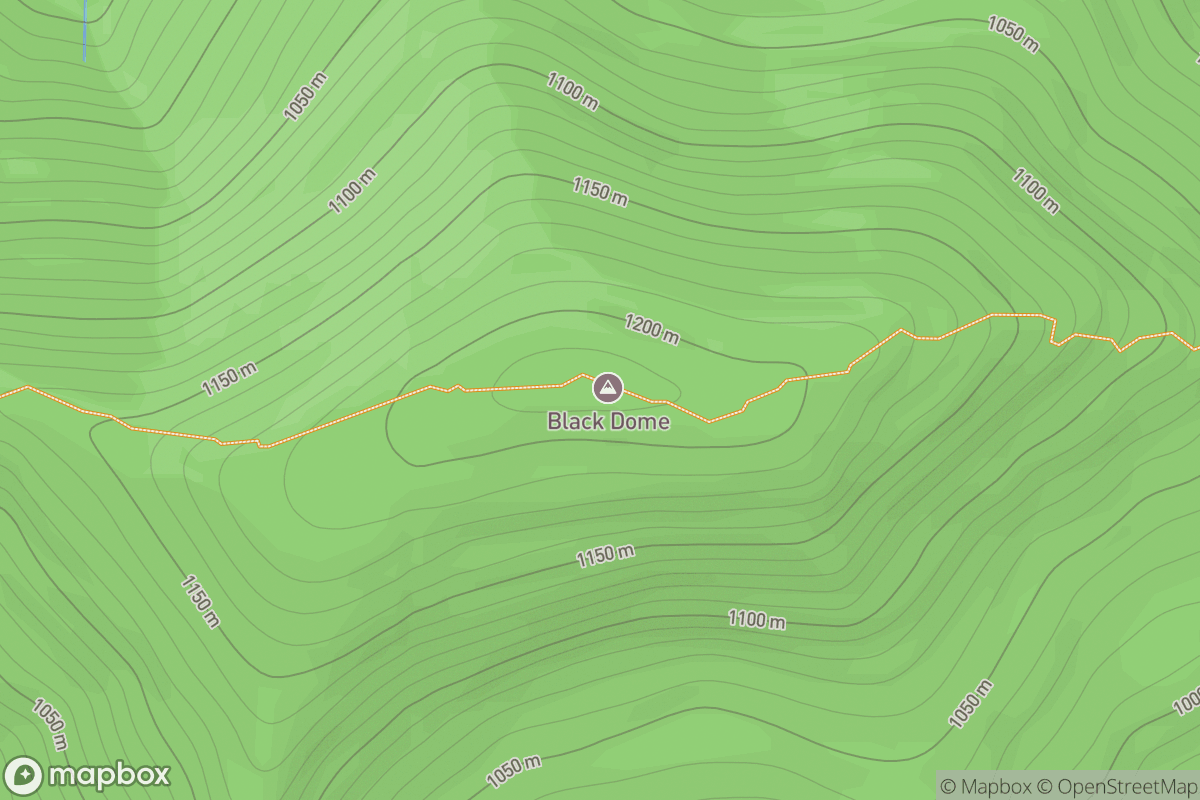 Black Dome