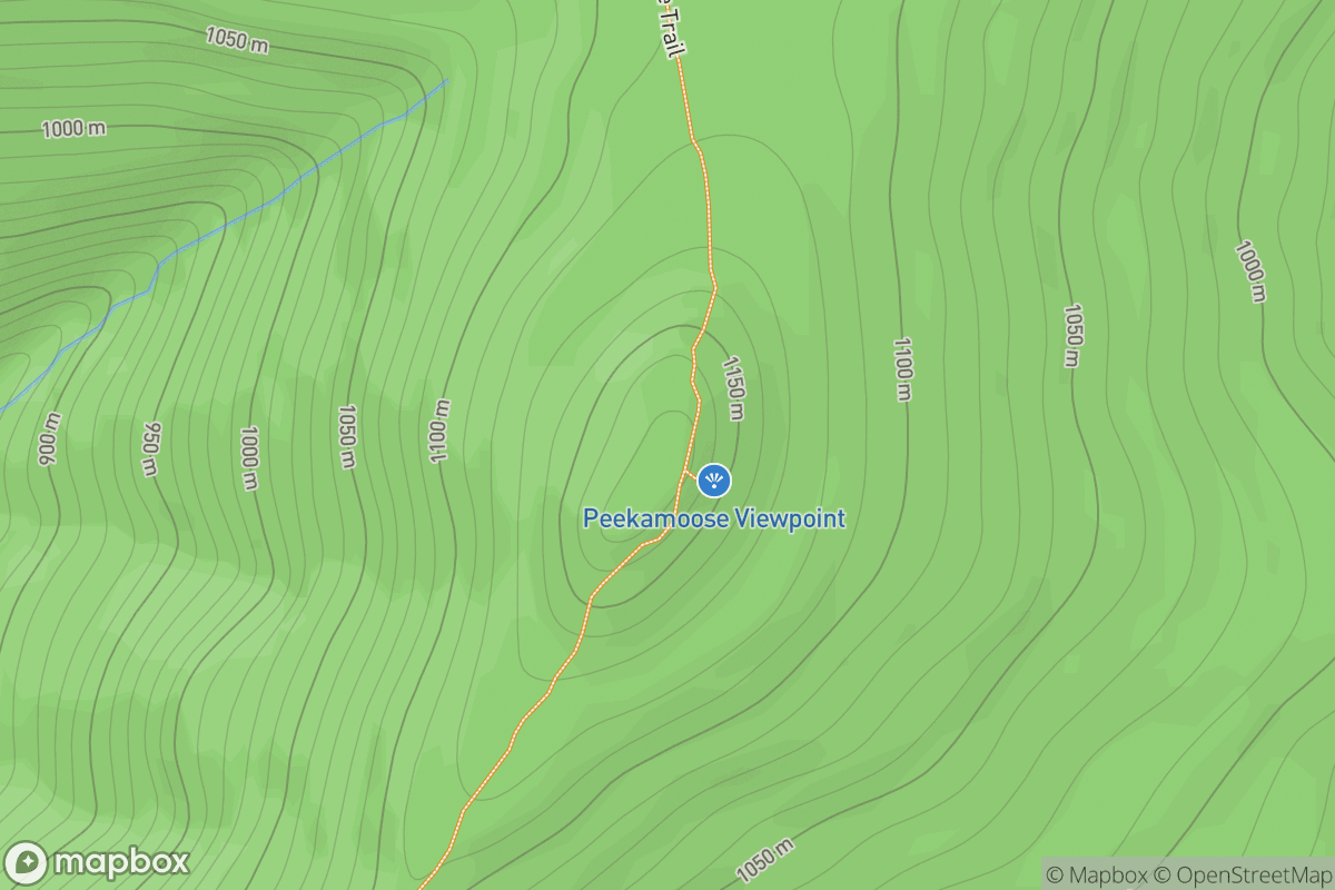 Peekamoose Mountain