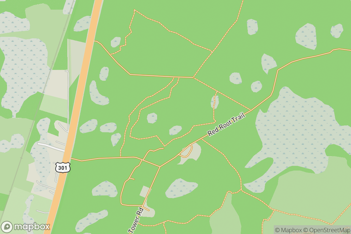 Cary State Forest Trailwalker Nature Trail