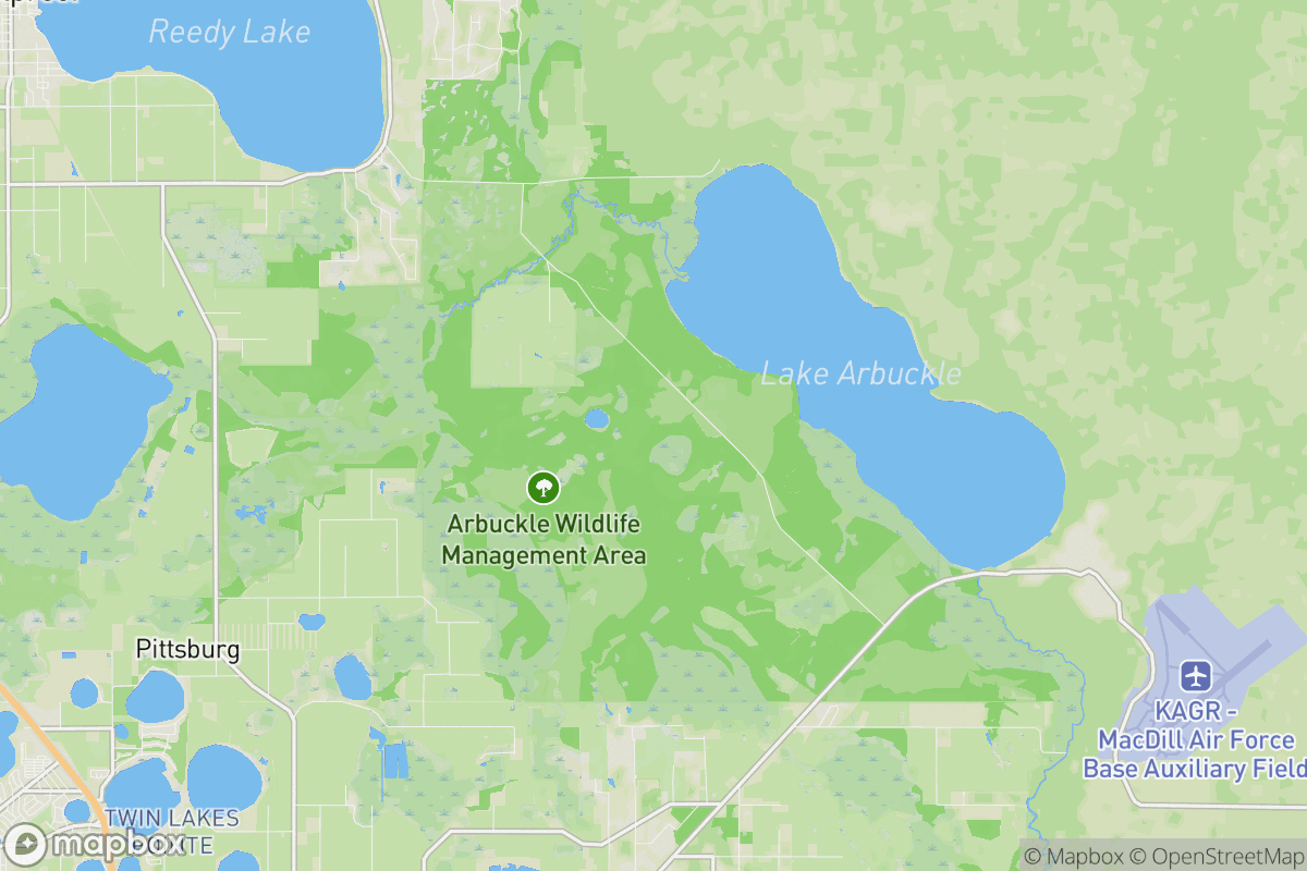 Reedy Creek