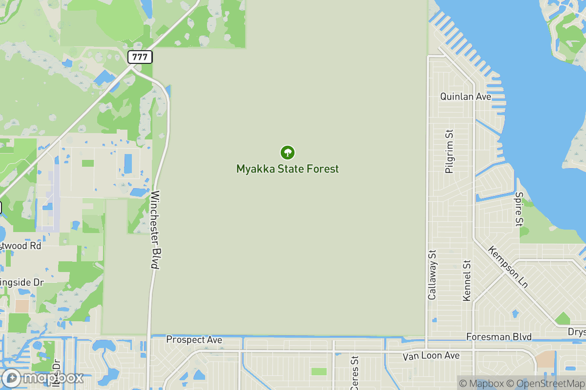 Myakka State Forest South Loop