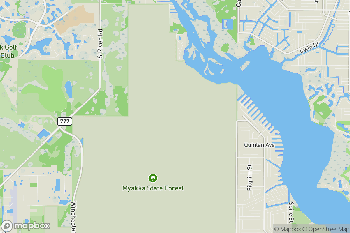 Myakka State Forest North Loop
